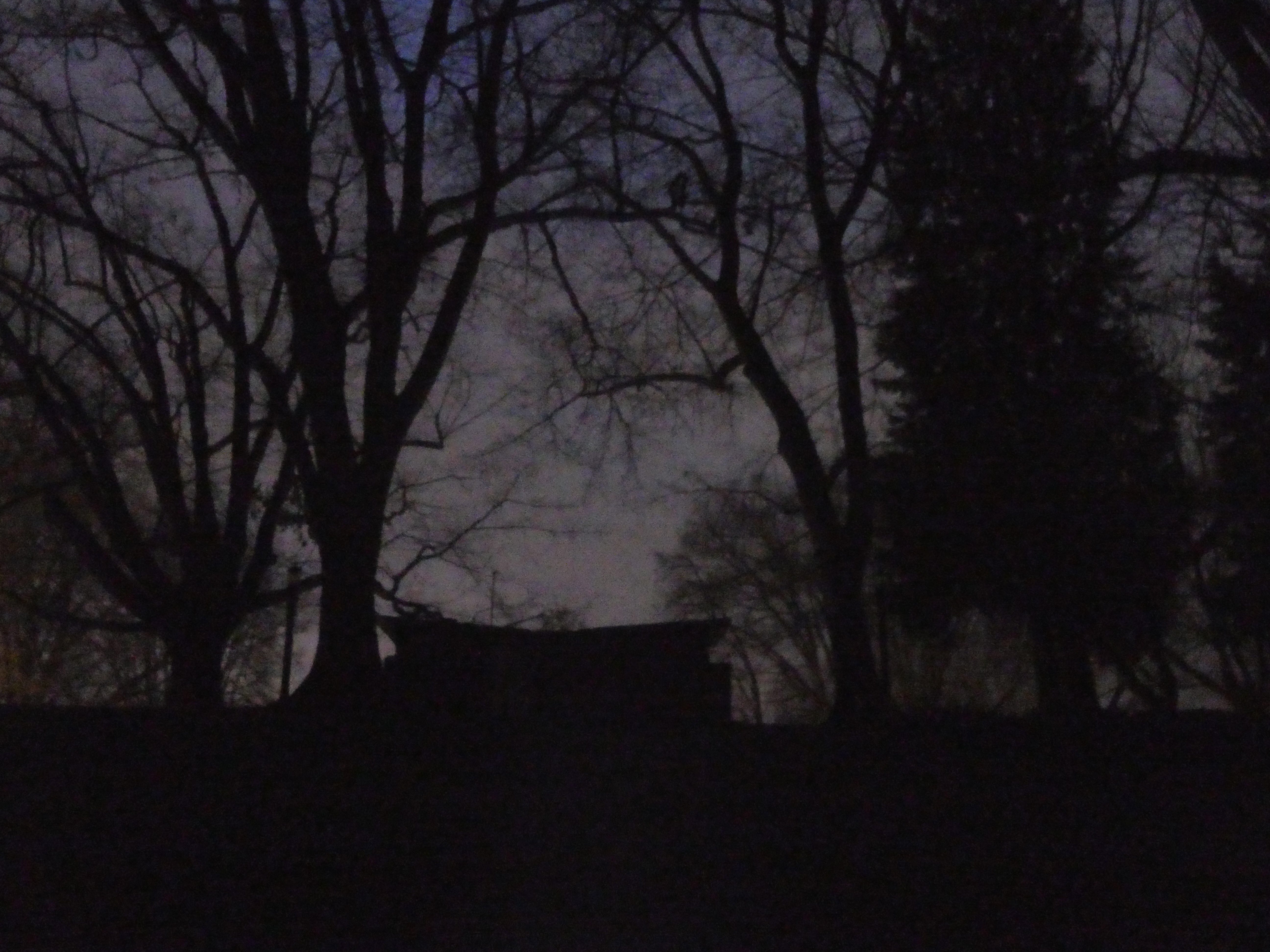 A darkened line of trees with some shadowy structure up on a hill.
