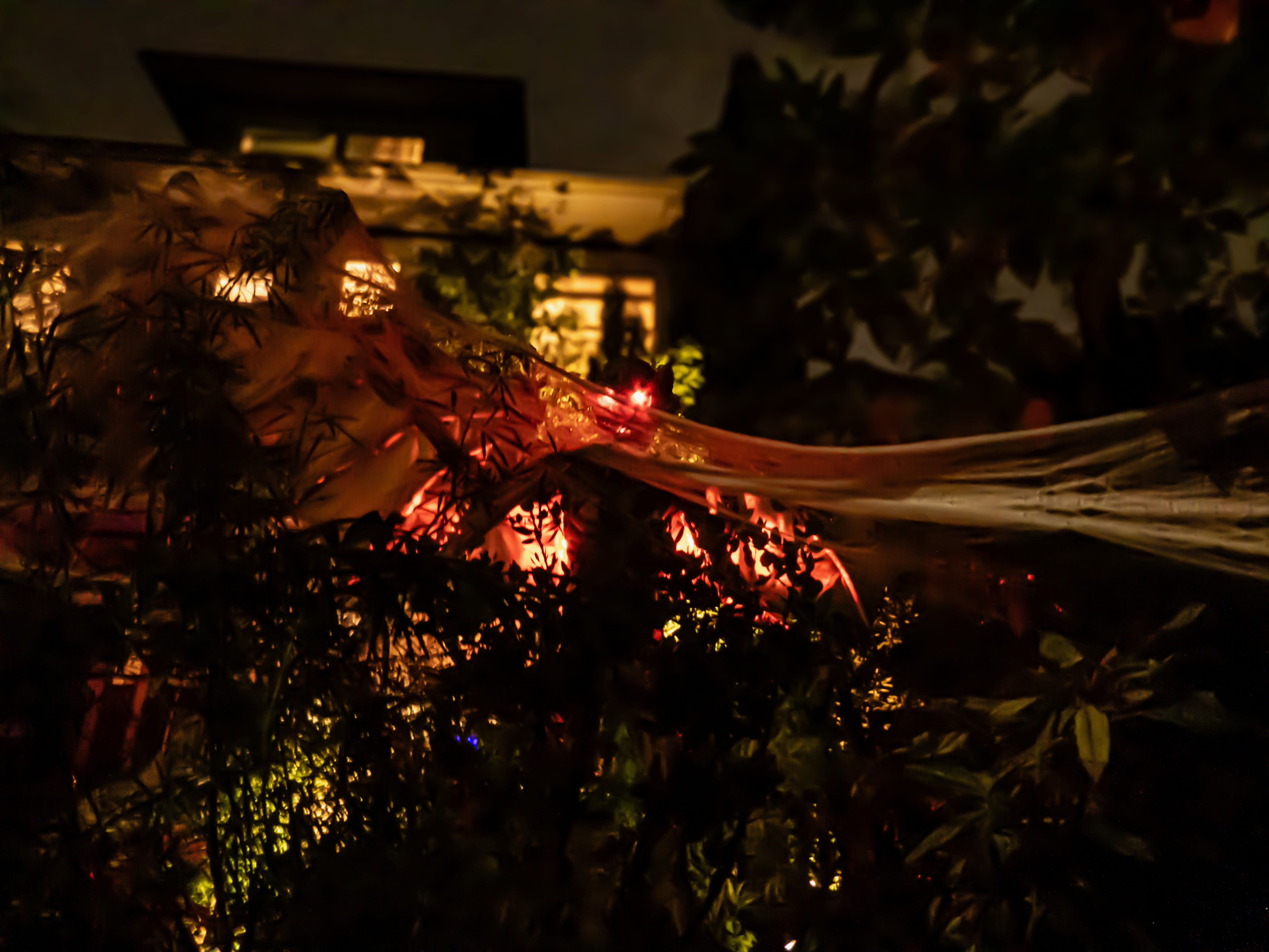 A dark night. A 12 foot Home Depot demon. Some bushes obscure his body, but you can make out his glowing red eyes.