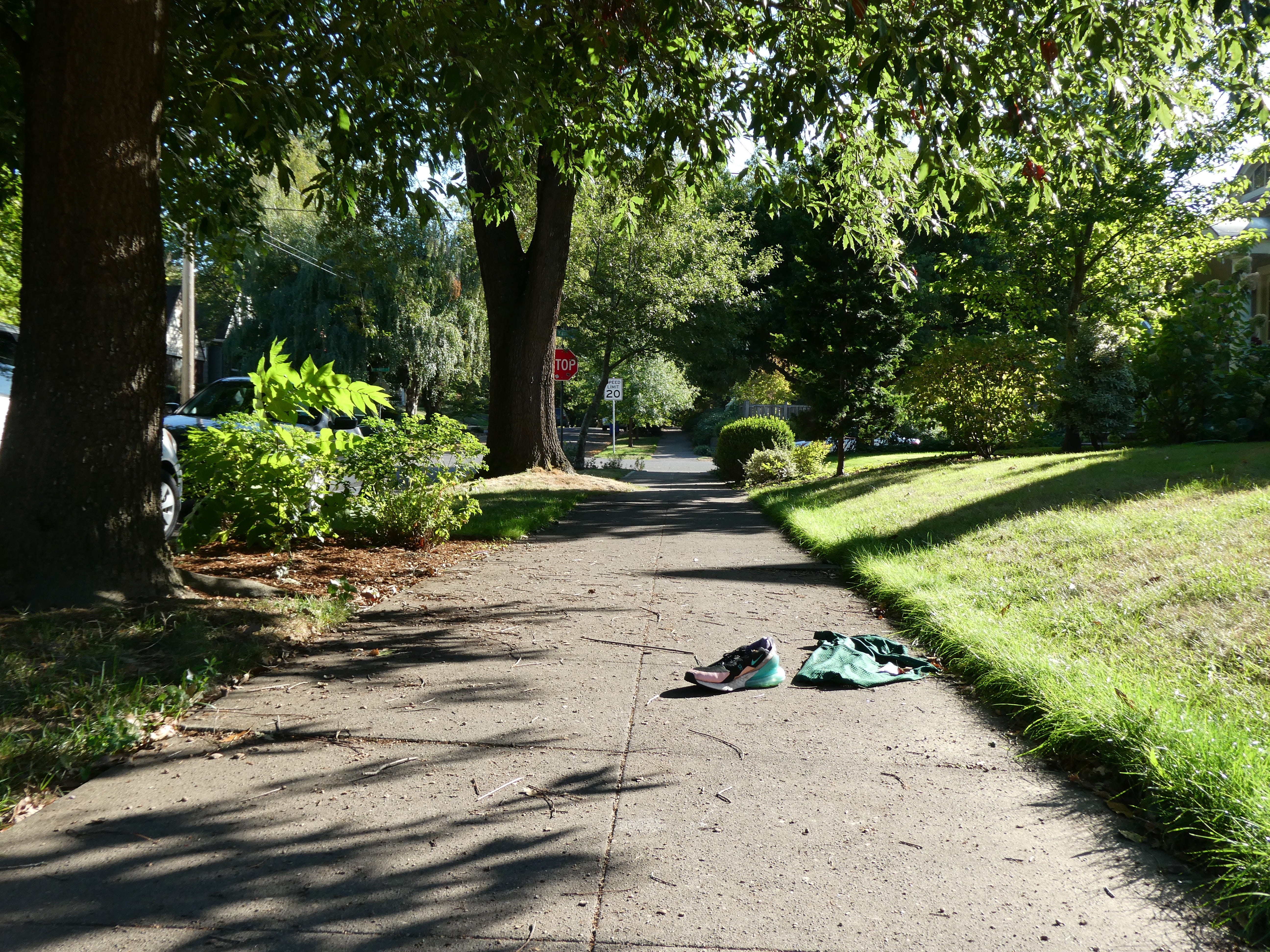Daylight picture of a sidewalk. A shoe and a pair of gym shorts sit by the lawn.